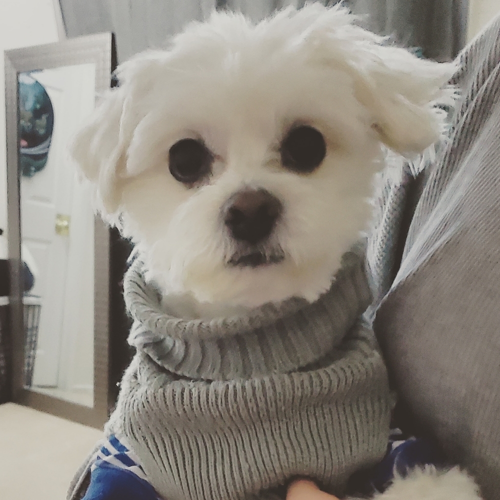 Meet your Posher, Kim